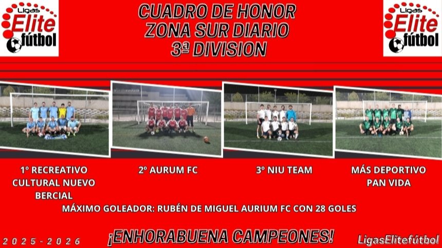 CUADRO DE HONOR ZONA SUR DIARIO 3ªDIVISION